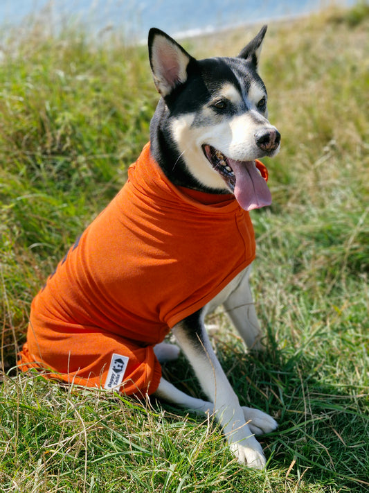 Drying Coat for Large Dogs